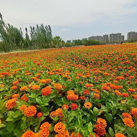 Primus Hotel Yinchuan Dış mekan fotoğraf