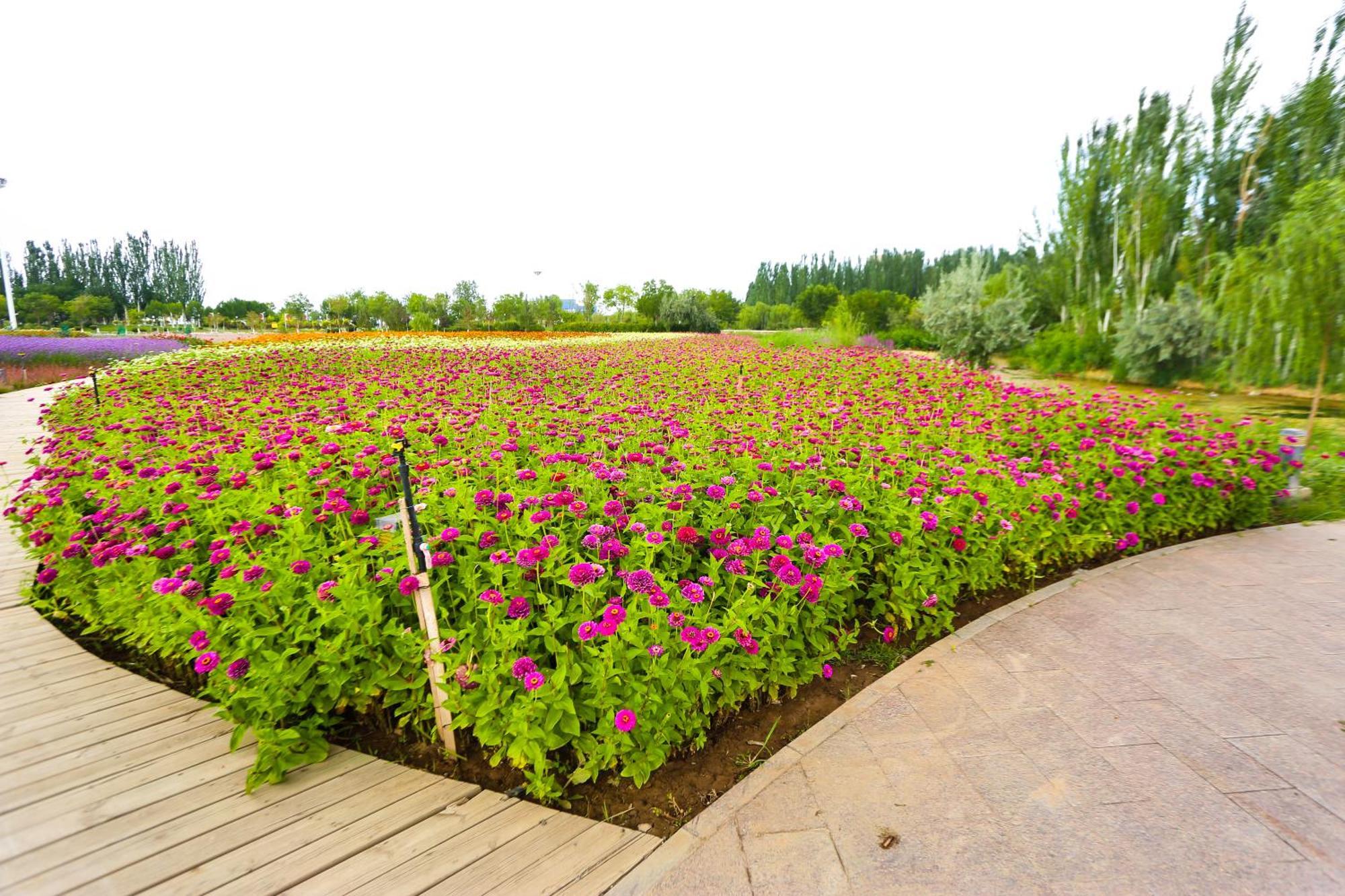 Primus Hotel Yinchuan Dış mekan fotoğraf