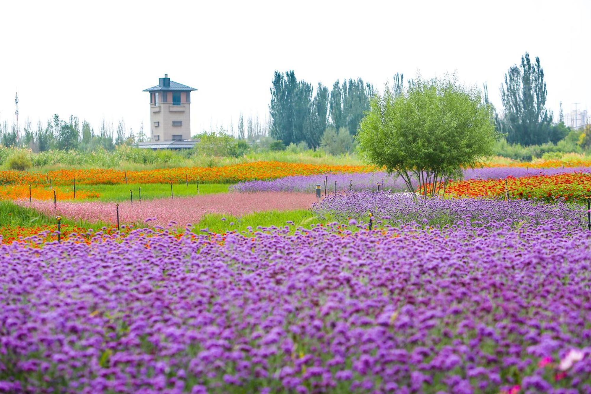 Primus Hotel Yinchuan Dış mekan fotoğraf