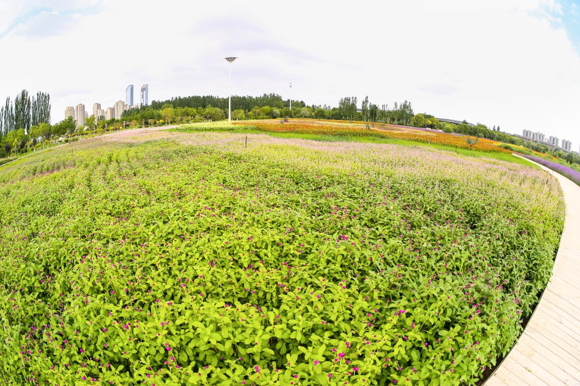 Primus Hotel Yinchuan Dış mekan fotoğraf